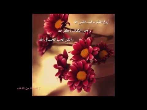 كلمات عن حسن الظن بالله - اروع وابسط الكلمات عن الحسن الظن بالله 155 4