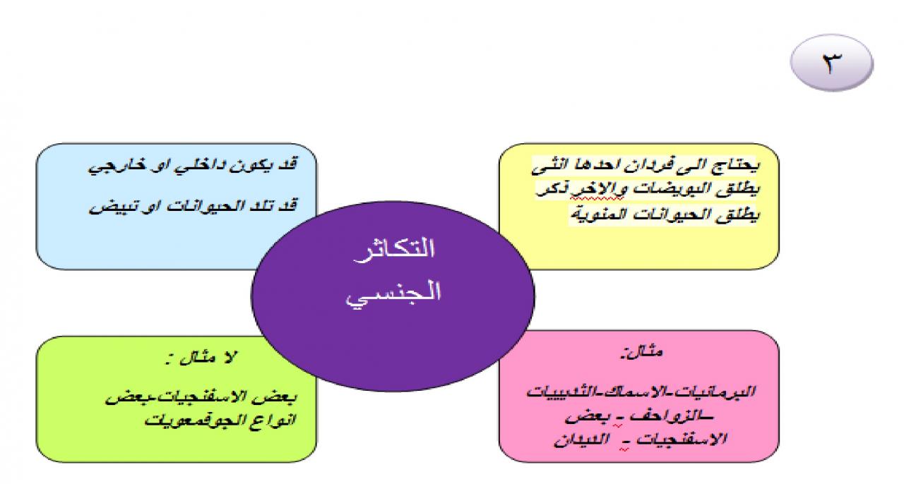 خصائص الاسفنجيات , كائنات بحرية عجيبة