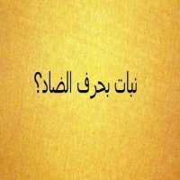 اسم نبات بحرف الضاد - نبات الضريع 4347