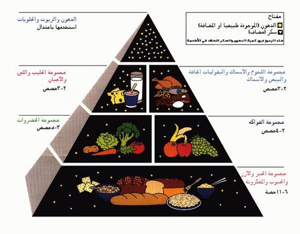 الاكل المفيد للحامل - طعام للمراه الحامل 2028 2