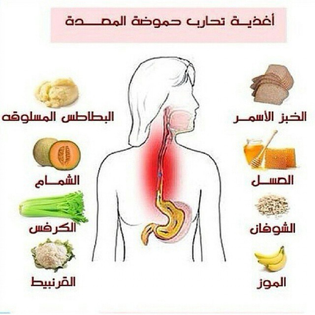 افضل علاج لحرقة المعده - كثيرا منا نتعرض اليه 4496 2