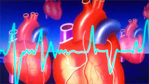 ماهي اسباب ضربات القلب السريعة - سبب سرعه ضربات القلب 6986