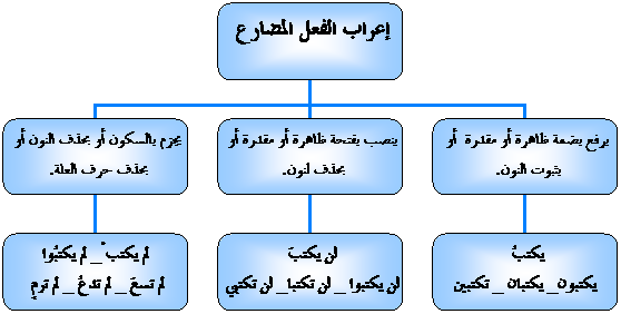 علامات بناء الفعل المضارع , اعراب الفعل المضارع