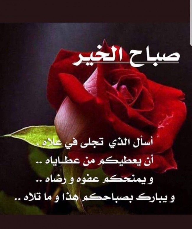 رد على صباح الخير 5014