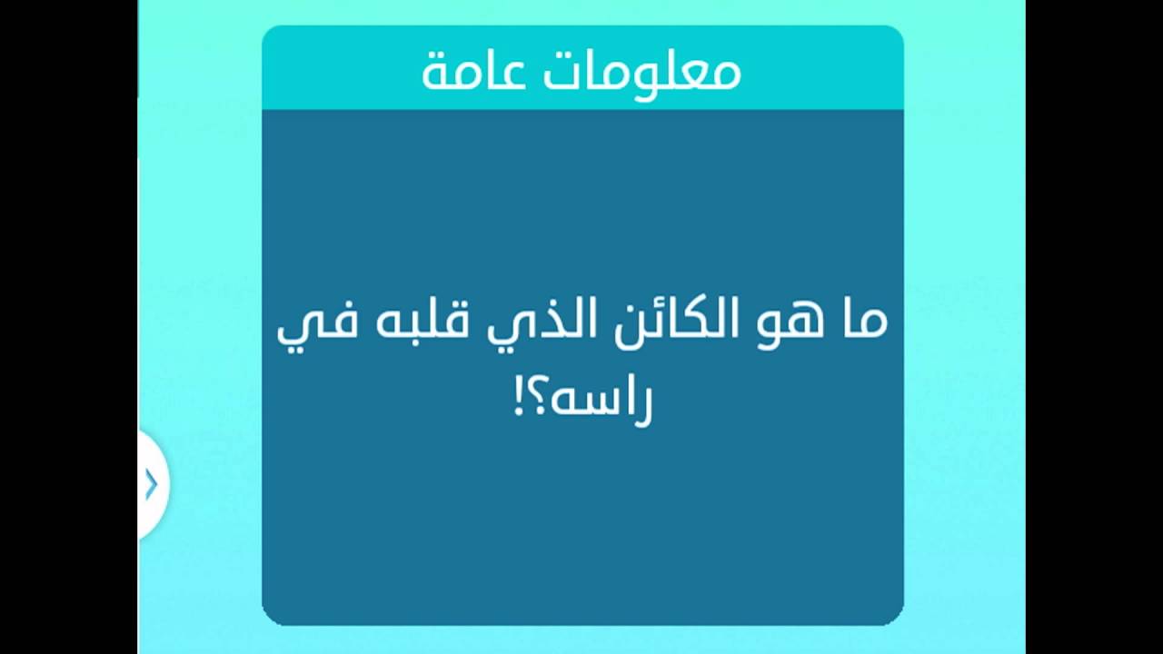 ما هو الكائن الذي قلبه في راسه , معلومة لم تكن تعرفها هذا هو الكائن الذي قلبه في راسه