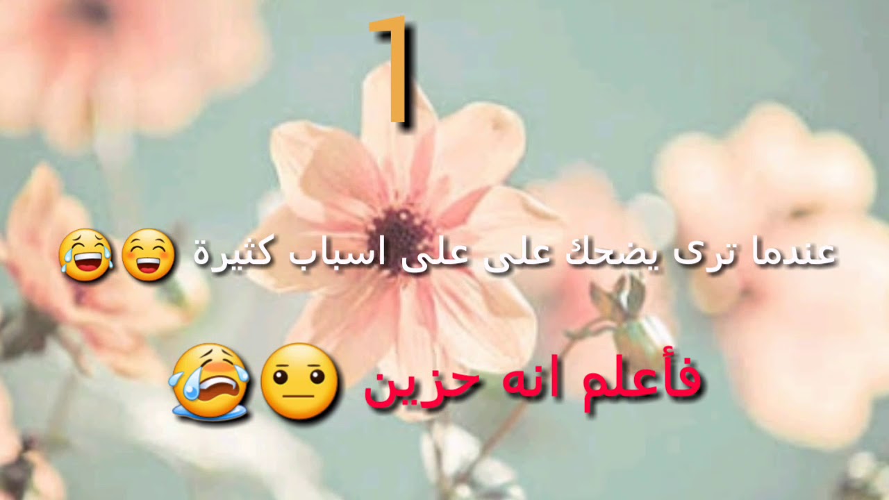 صور كلمات حلوة - اججد كلمات تسخدها عل الاترنت والرسايل 43609 4