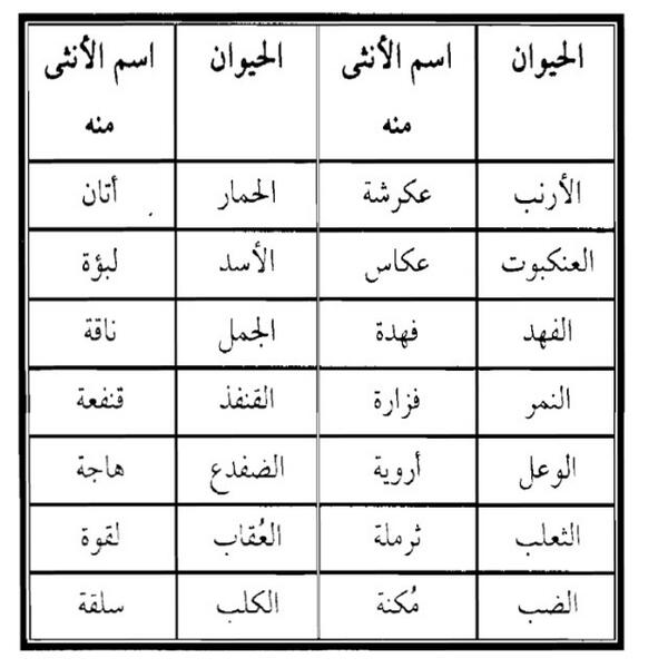 اسماء انثى الحيوانات - تعرف ما هو اسماء صغار واناث الحيوانات 2577