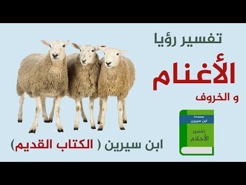 تفسير حلم ذبح الخروف للحامل , اروع الاحلام وتفسير ما يحدث فيها