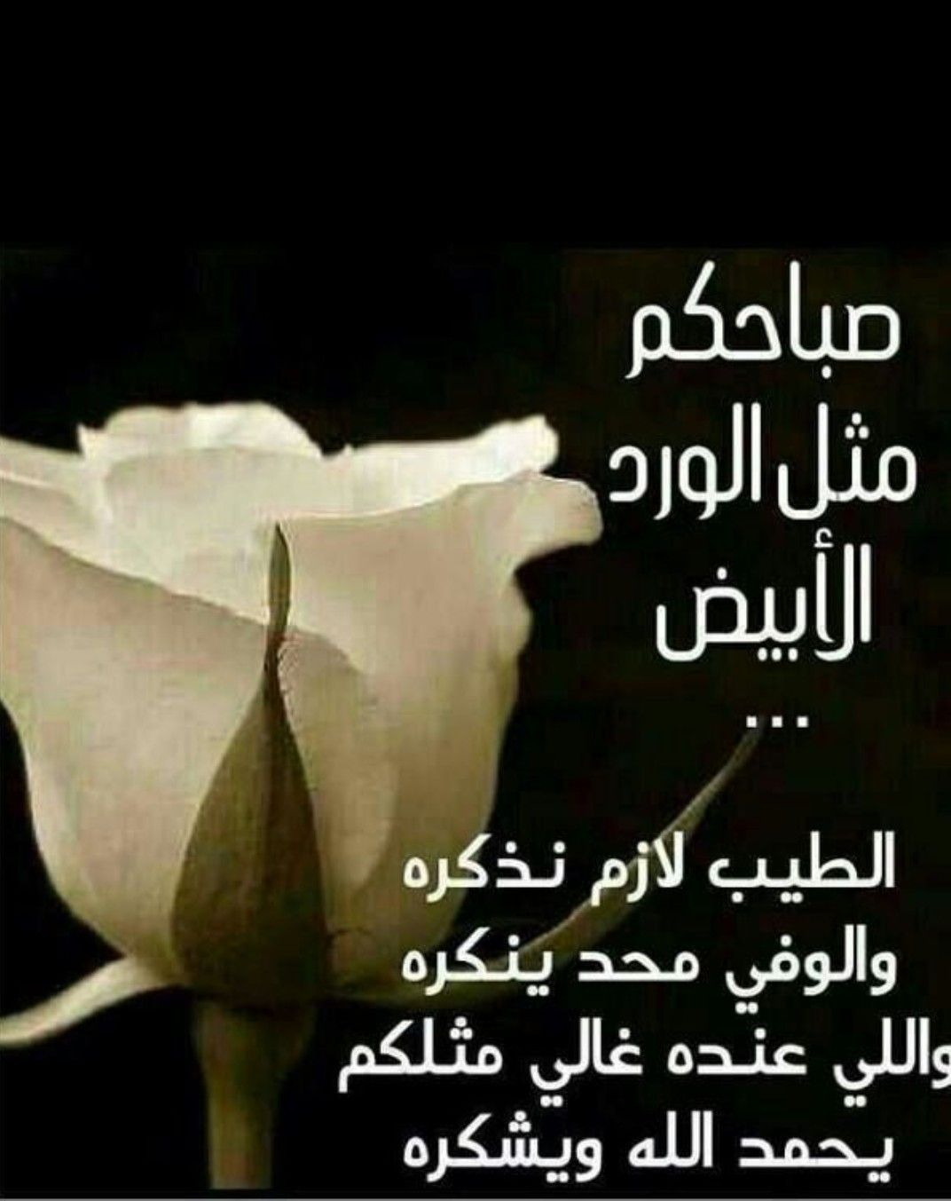 يسعد صباحك حبيبي كلمات 4603 10