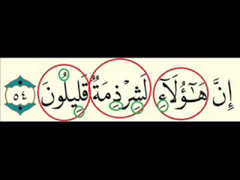 معنى كلمة شرذمة , أكثر ما نشاهد اختيار افضل مفاهيم