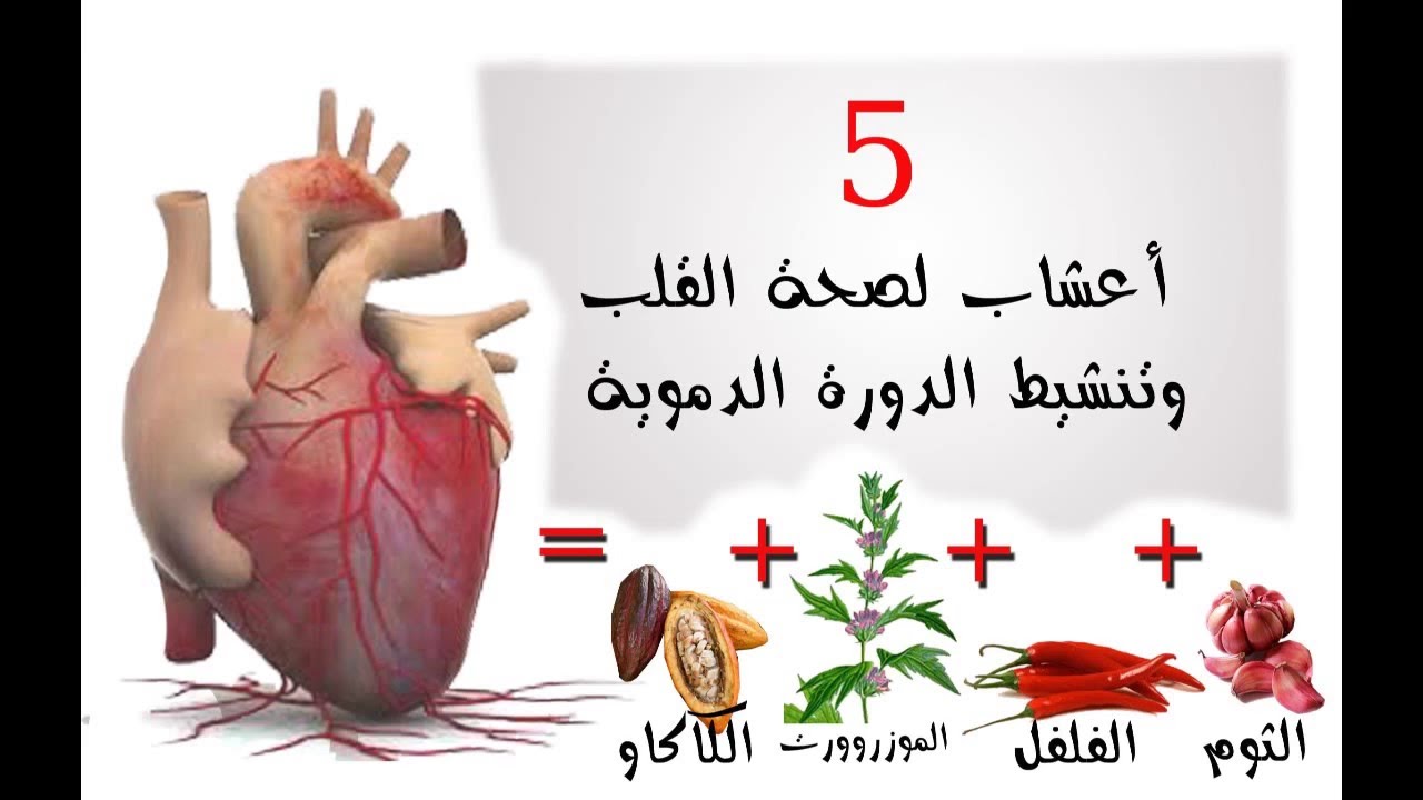 ماهي اسباب ضربات القلب السريعة - سبب سرعه ضربات القلب 6986 2