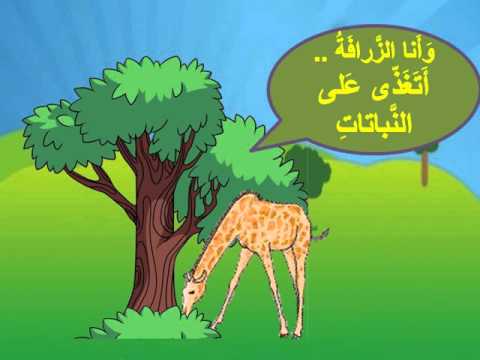 حيوانات اكلة الاعشاب - اروع واجمل الحيوانات الرقيقة 102 3