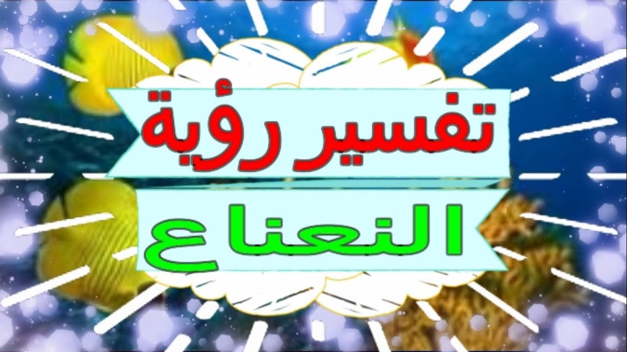 النعناع في الحلم - ظهور النعناع وما تفسيره بالحلم 1798 1