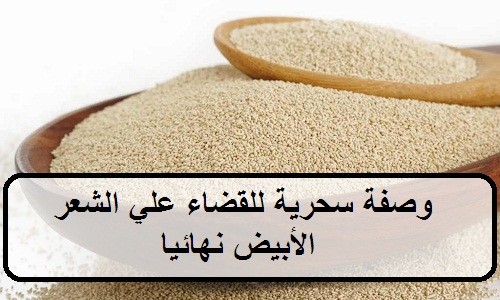 ماهو علاج الشيب - افضل طرق علاح الشيب  553 1