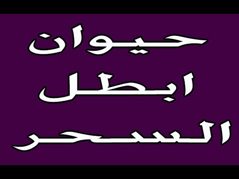 حيوان ابطل السحر - اجمل المعجزات 6452