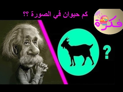 كم حيوان في الصورة - ابسط الالغاز البسيطة 344 4