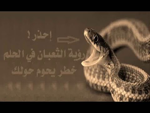 تفسير حلم الثعابين الكثيره , تفسيرات الاحلام وما تدل عليها