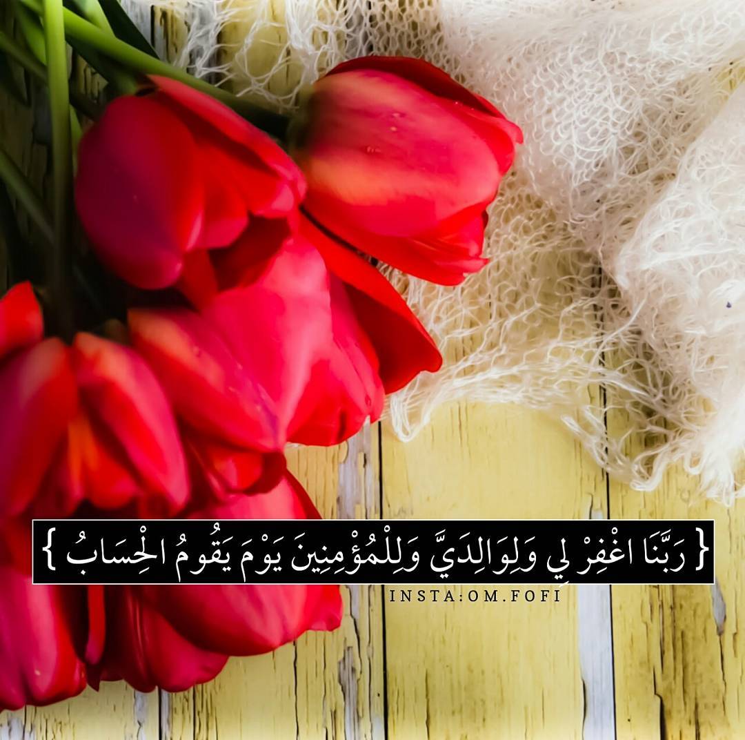 احدث الصور والخلفيات - لهذا العام احدث الخلفيات والصور 4004 23