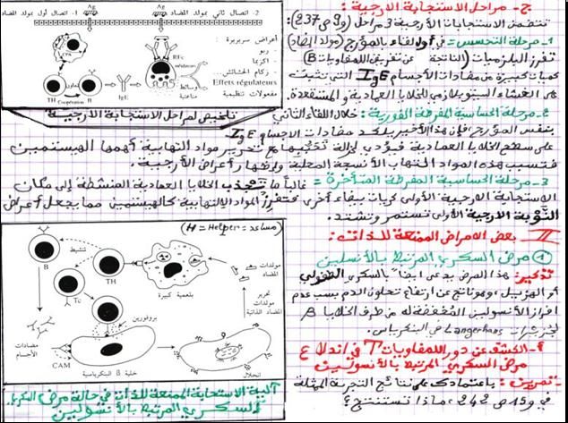 اضطرابات الجهاز المناعي - اضطراب الجهاز المناعي 6666 1