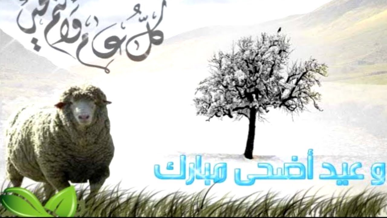 بوستات عيد الأضحى- عبارات خطيرة للعيد الاضحى 43672 3