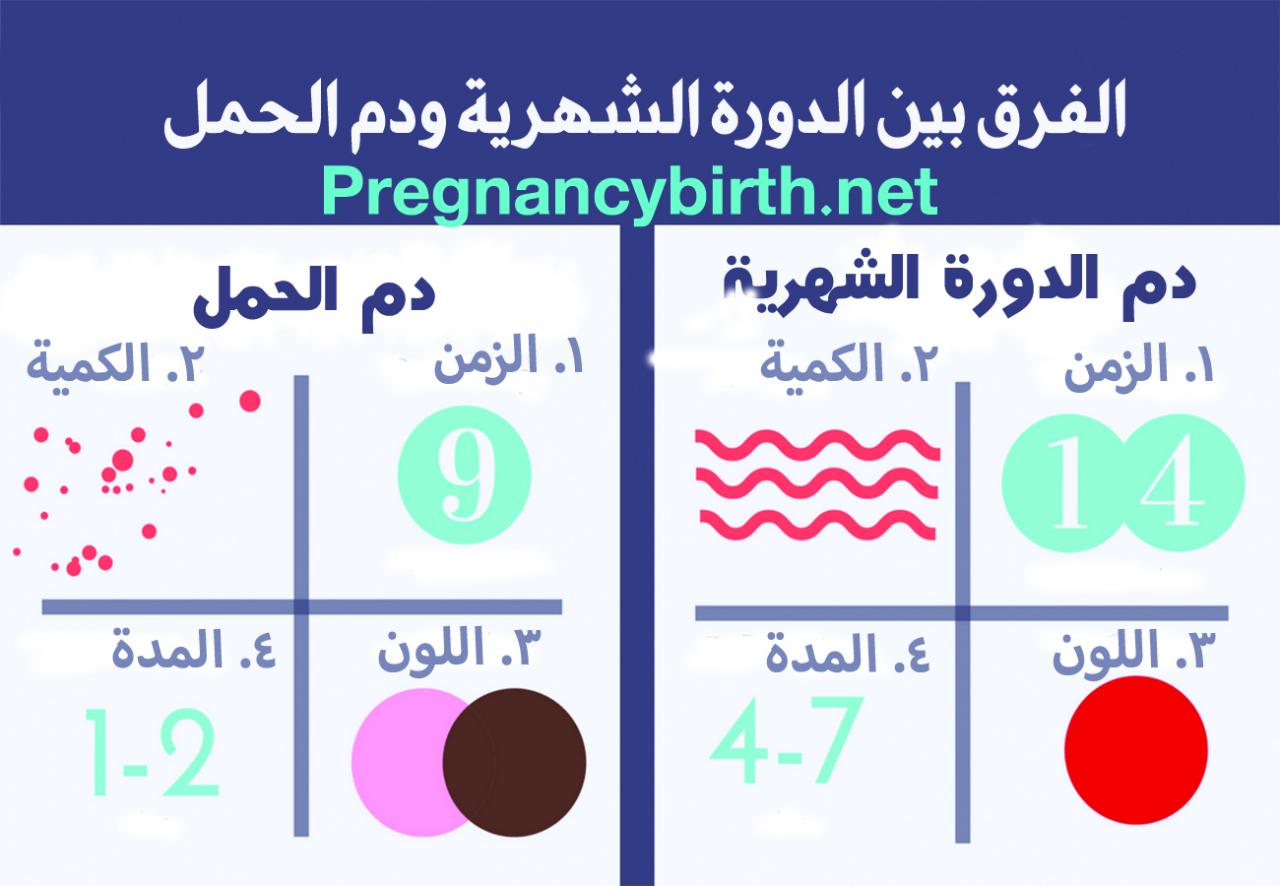 ازاى اعرف عدد ايام الحمل - عدد ايام الحمل 6032 7