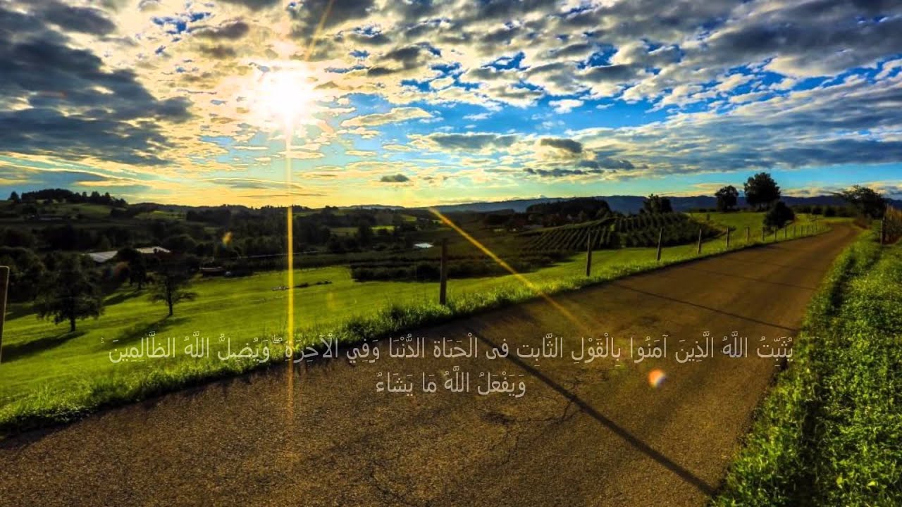 كلمة طيبة كشجرة طيبة - تاثير الكلمه الطيبه على النفس 2906 6