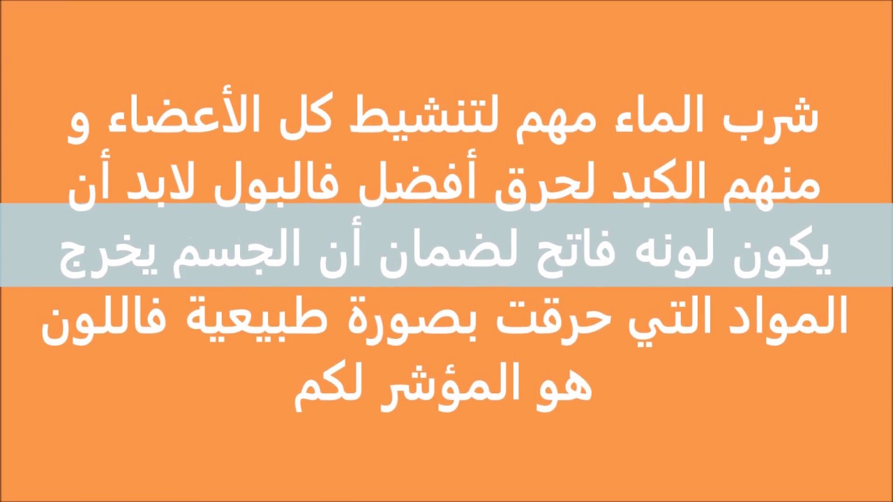 العشر نصائح للرجيم سالي فؤاد - اهم النصائح للتخسيس مع سالى فواد 1230 3