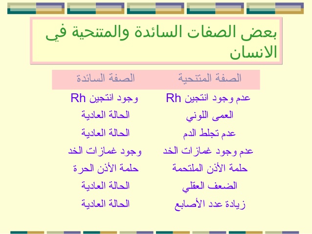 الصفات الوراثية السائدة والمتنحية - ما الفرق بين الصفات السائدة والمتنحية 3042