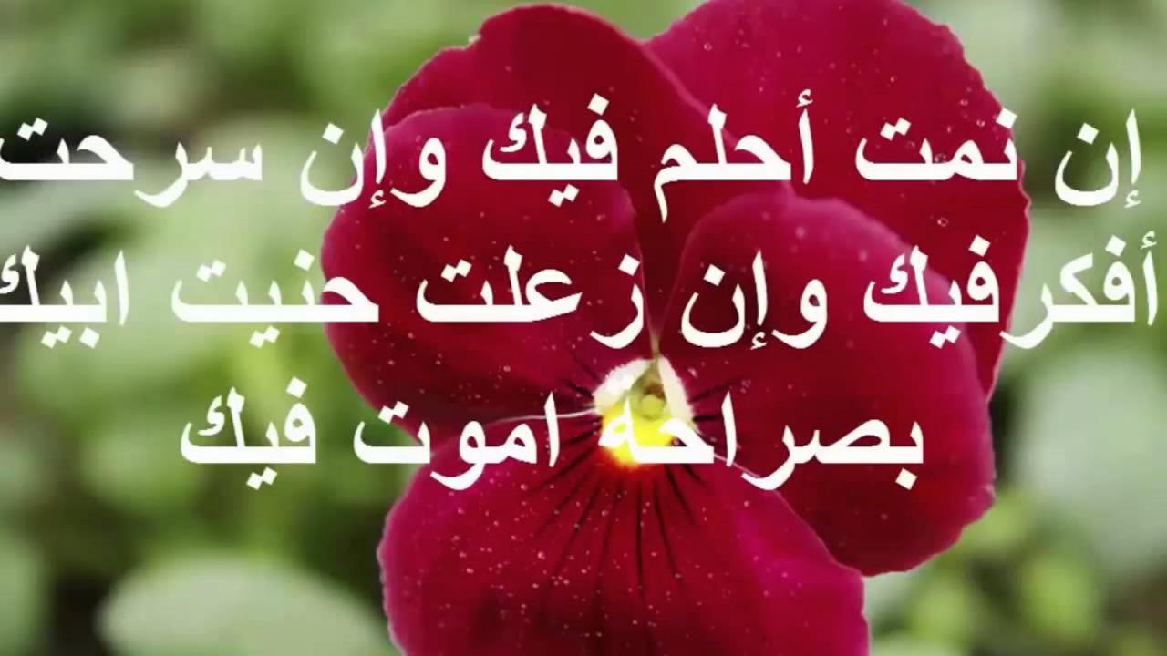 ابحث عن رسائل حب 4830 6