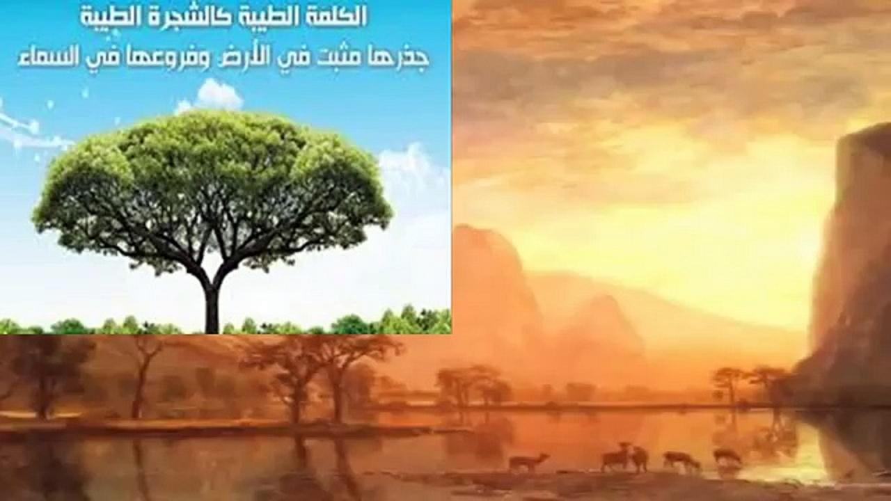 كلمة طيبة كشجرة طيبة - تاثير الكلمه الطيبه على النفس 2906 5