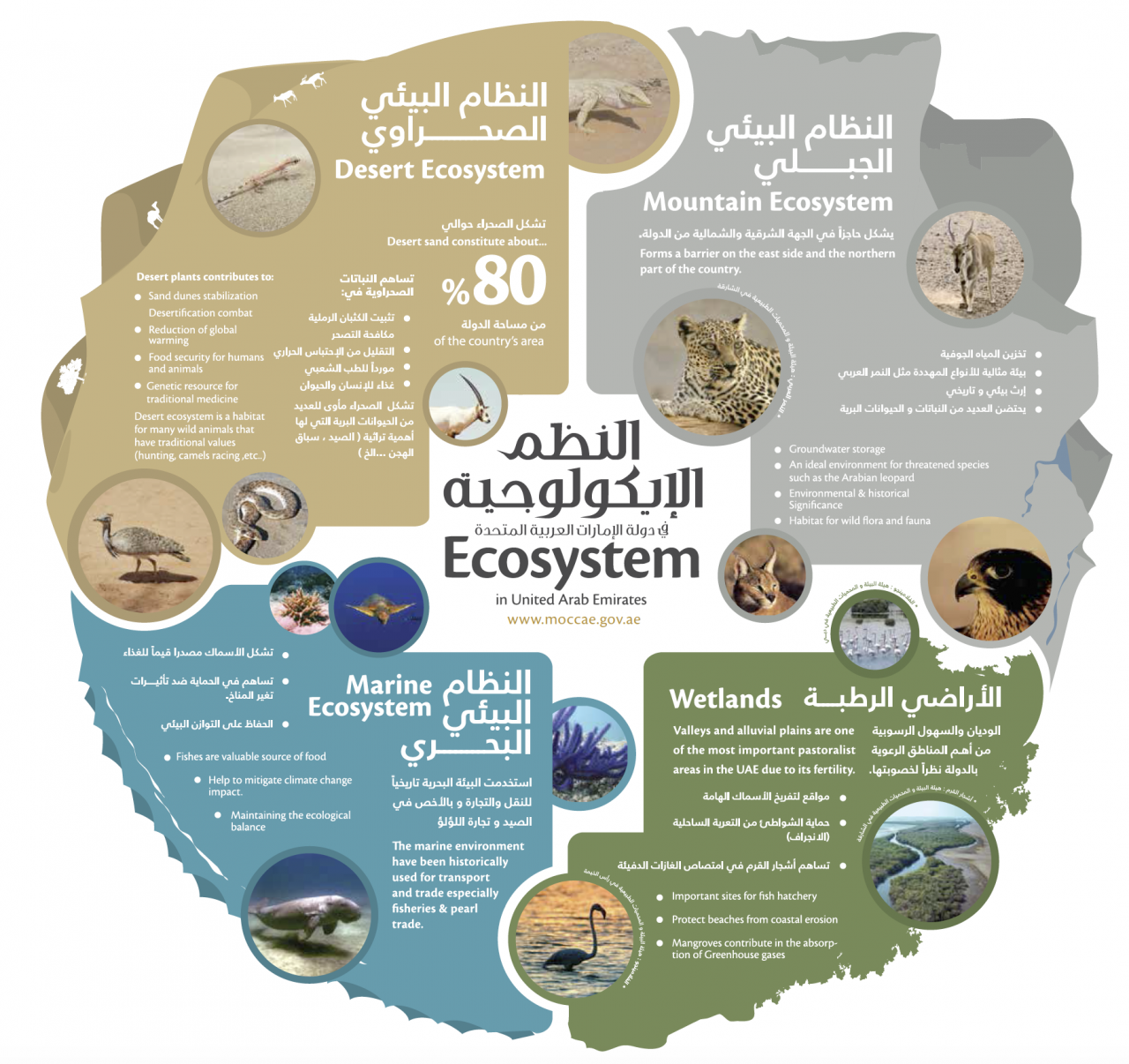 معنى كلمة بيولوجي - تفسير عالم البيولوجي 3978 1