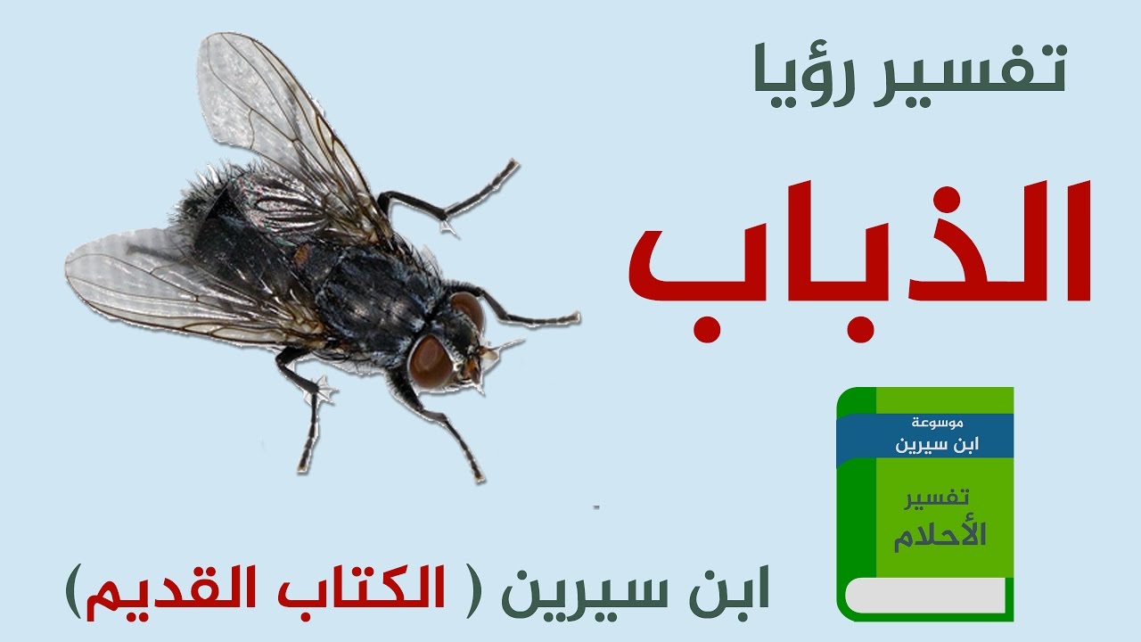 تفسير حلم الذباب - الذباب في المنام دليل على ايه- 3322 2