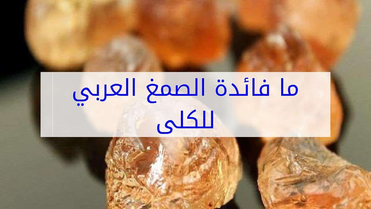 فوائد صمغ العربي - ما فوائد وتاثير الصمغ العربى على جسم الانسان