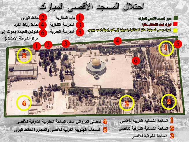 الصورة الحقيقية للقدس - ماذا تعرف عن القدس الشريفة 4203 1