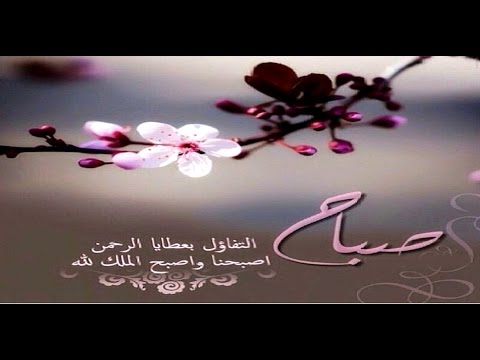 عبارات جميلة للصباح - اجمل واروع العبارات والكلمات فى الصباح 461 9