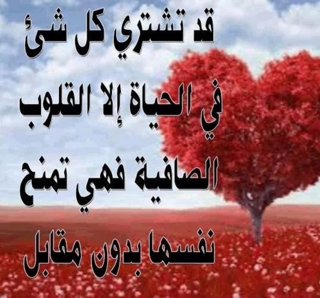 ابحث عن رسائل حب 4830 2