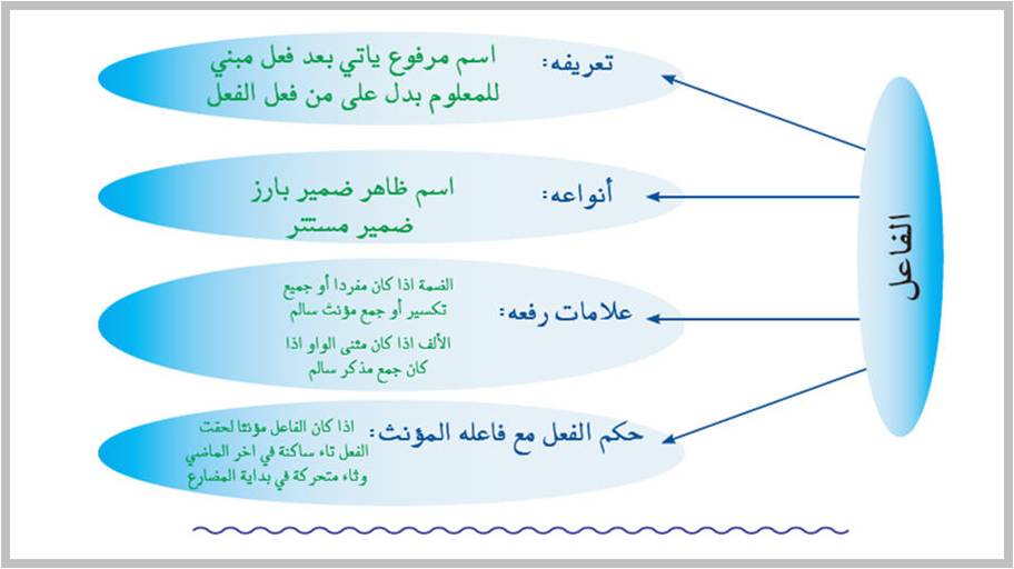 بحث عن الفاعل ونائب الفاعل , معلومات في نحو اللغه العربيه