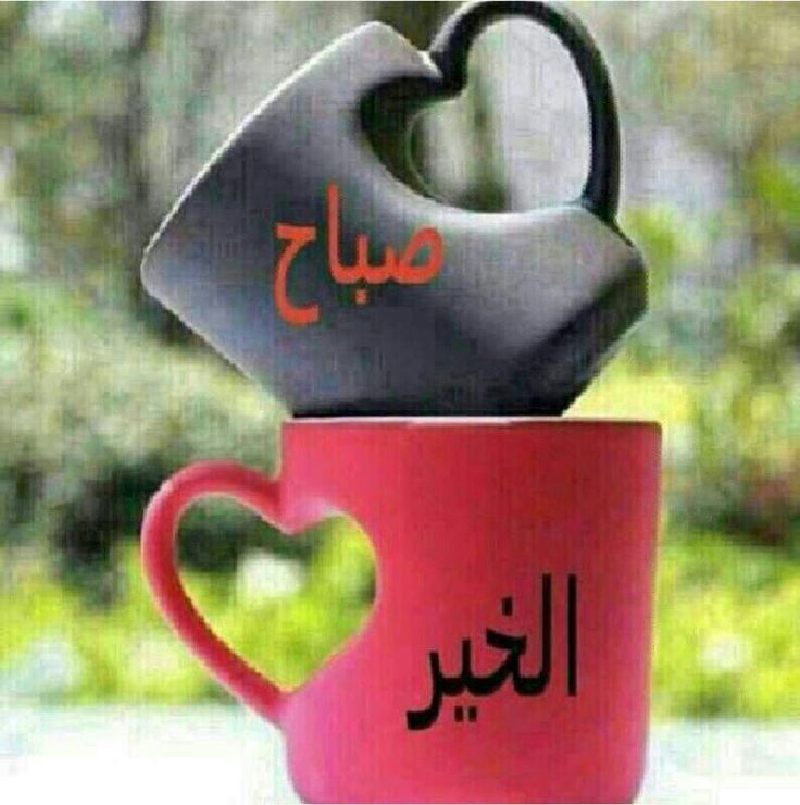 صور جديده ومنوعه - كل الصور الجديدة والمنوعة عندنا بلاشك 4449 7