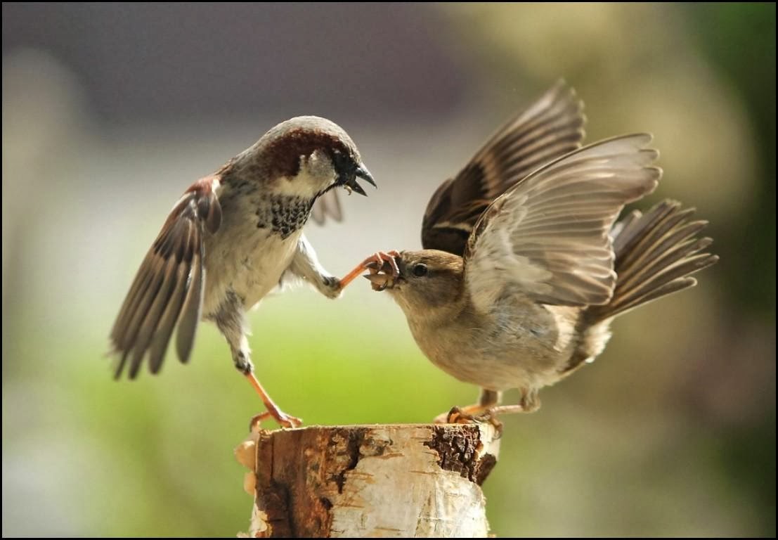 افضل صور معبرة - احلي لقطات معبرة في احلى صور 568 8