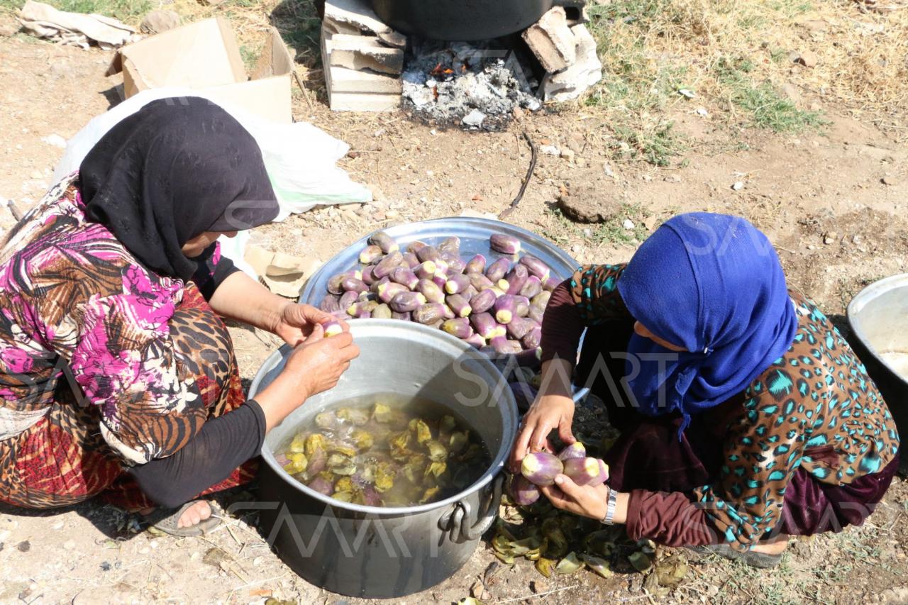 طريقة عمل المكدوس السوري بالصور - تعلمي المكدوس السوري خطوة خطوة 3657 4