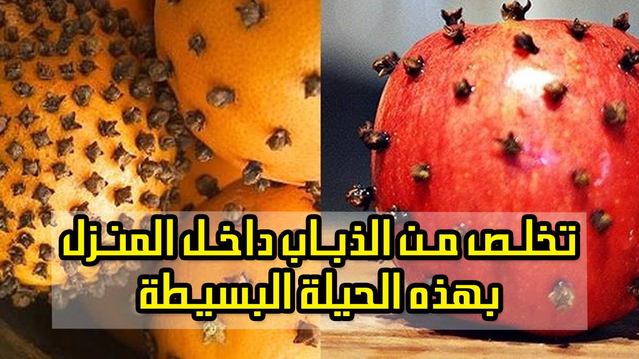 كيف تتخلص من الذباب , القضاء على الذباب بمكون امن